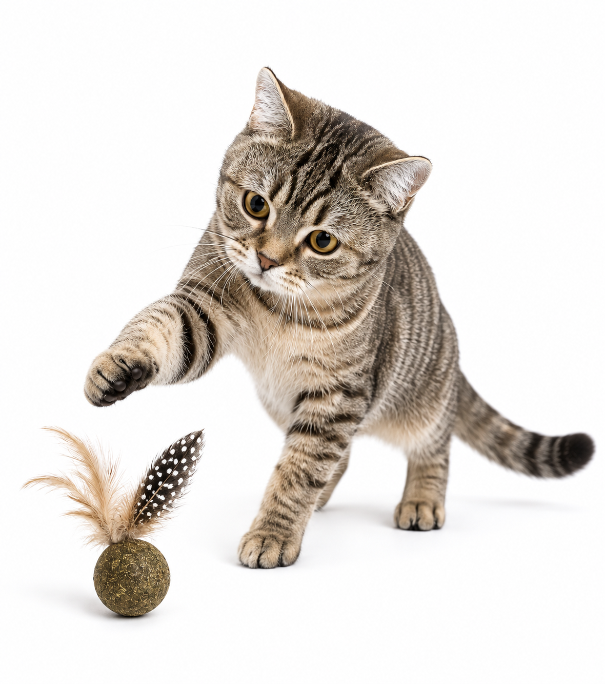 Interactive Catnip Feather Ball Toy – Natural Cat Kicker & Play Ball